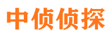 户县市私家侦探